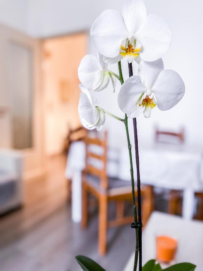 Myhouse Inn Marche - Affitti Brevi Italia Torino Exterior foto